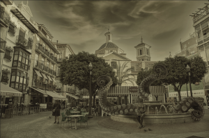 Pulpo en la Plaza de las Flores